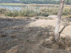 -北京麋鹿生态实验中心