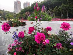 -深圳国际园林花卉博览园