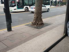 -功德林(南京西路店)