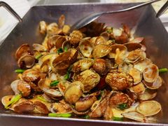 辣炒红岛花蛤-开海·红岛海鲜虾水饺(石老人店)