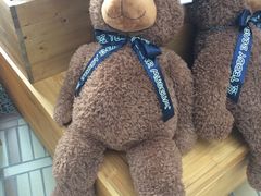 -济州岛泰迪熊博物馆