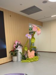 -上海伊莱美医疗美容医院