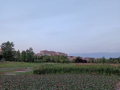 -两河城市森林公园