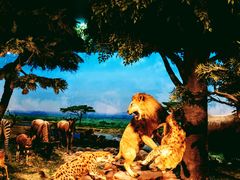 -国家自然博物馆