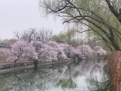 -颐和园