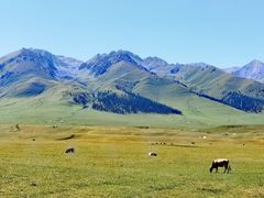-新疆那拉提国家旅游度假区