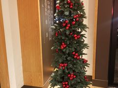 -星巴克(红房子店)