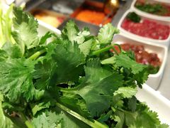 -海底捞火锅(老城根店)