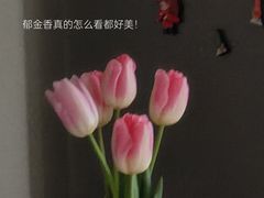 -循礼门鲜花花市(武汉循礼门店)