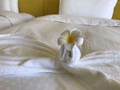 -广州花之恋城堡酒店