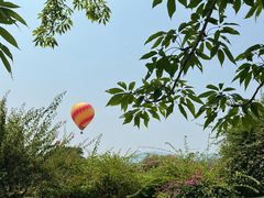-中国科学院西双版纳热带植物园