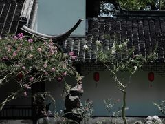 -上海醉白池公园