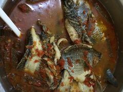 风鑫铃罗非鱼-风鑫铃罗非鱼(道沟店)