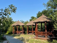 -莲花池公园