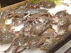 -欢乐牧场海鲜烤肉自助(牡丹园店)