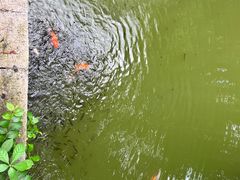 -珠海圆明新园