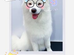 -佐罗家宠物馆·猫文化馆(紫霞路店)