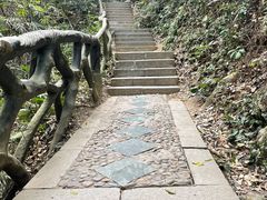 -梧桐山风景名胜区