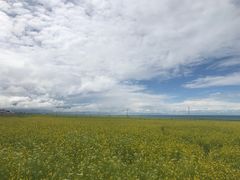 -青海湖国家重点风景名胜区