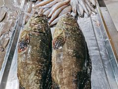 -鸿港海鲜批发市场