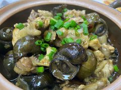 田螺焖鸡-苏记农家菜馆