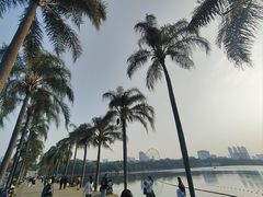 -南宁南湖公园