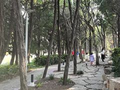 -嘉定紫藤园