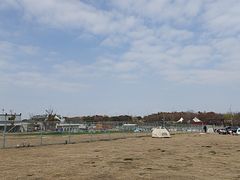 -江滩湿地公园