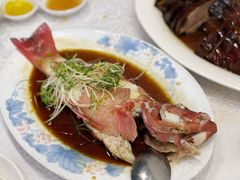 -沙田新强记烧鹅海鲜酒家