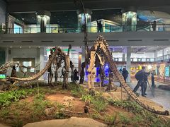 -自贡恐龙博物馆