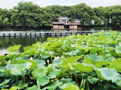 -西湖游船
