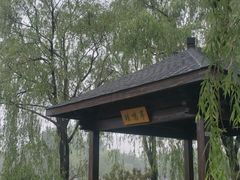 -大兴滨河森林公园