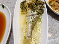 -老绍兴养和饭店(向阳不夜城店)