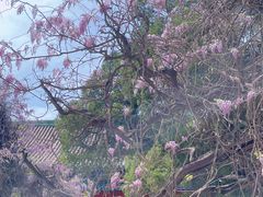 -北京国子监胡同