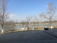 -九里河湿地公园
