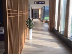 -水悦汇