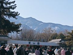 -秦始皇帝陵博物院-丽山园