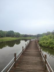 -水八仙生态园