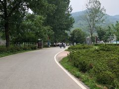 -木兰云雾山