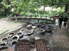 -成都市活水公园