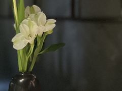 -黄鱼馆Jhouse(外滩店)
