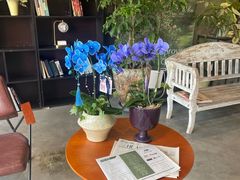 -花瓣雨花艺·Petals raln(和平路店)