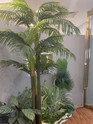 -八佰伴8008星级形象店
