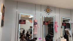 -东方美妍小鹏造型