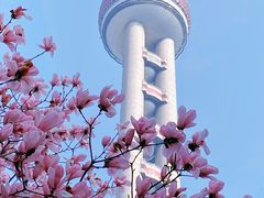 -东方明珠广播电视塔