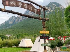 -禅宗少林·音乐大典