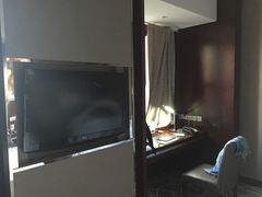 -常州环球恐龙城维景国际大酒店