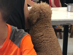 -乐清海鲜面馆(服装城店)