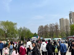 -曹州牡丹园
