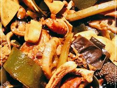 -食乐佳麻辣香锅(森林摩尔商业街区店)